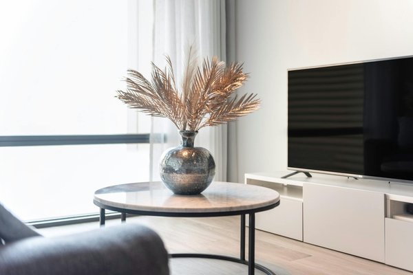 Voyage découverte : la faune marine fascinante du mexique