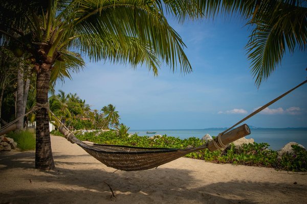 Pourquoi faire un voyage au Sénégal pour les vacances ?